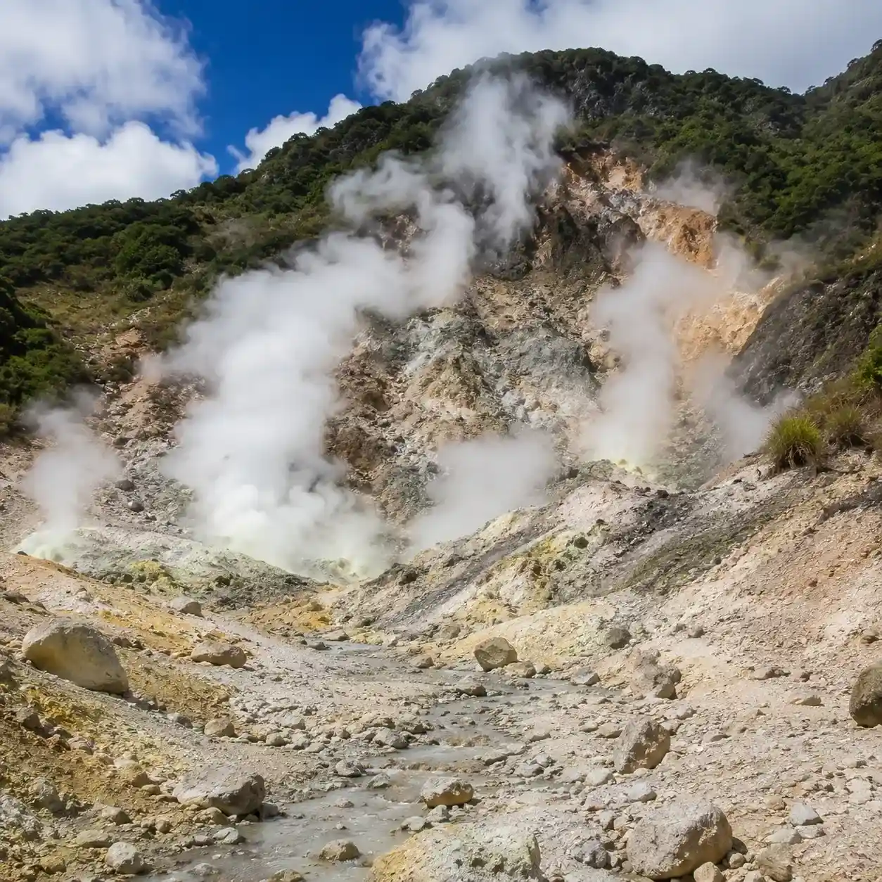 Sulphur Springs